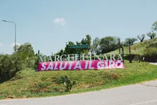 marcellinara 14